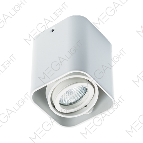 Потолочный светильник Megalight 5641 white