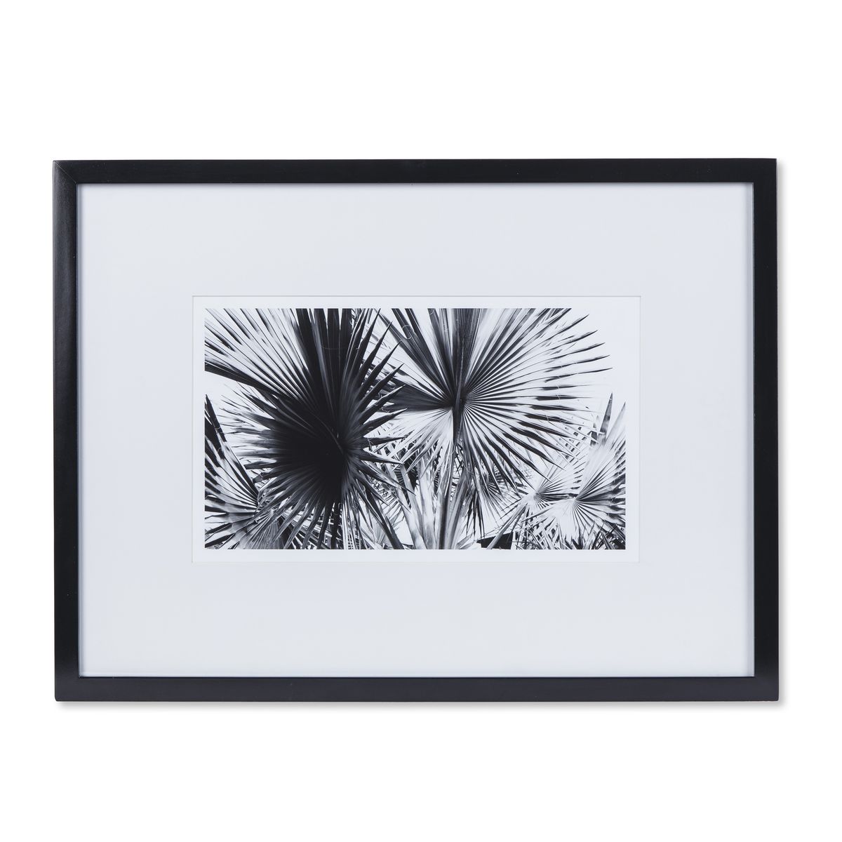 Картина Kelly Hoppen Black & White Palm Leaves 1206361