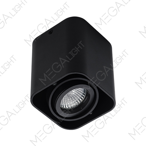 Потолочный светильник Megalight 5641 black