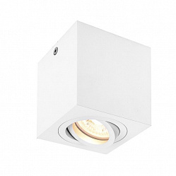 Потолочный светильник SLV 1002015 в стиле Хай-тек. Коллекция Triledo Square CL. Подходит для интерьера Для магазина 