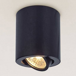 Накладной светильник Citilux CL538112 в стиле Современный. Коллекция Дюрен Черный. Подходит для интерьера Для магазина 