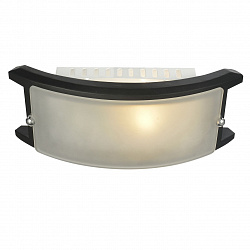 Потолочный светильник Arte Lamp A6462AP-1CK в стиле Кантри. Коллекция A646. Подходит для интерьера Для прихожей 