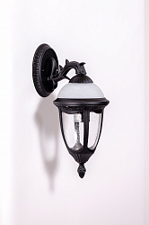 Уличный настенный светильник Oasis Light 89102/15S Bl в стиле Классический. Коллекция ST. LOUIS S. Подходит для интерьера 