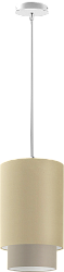 Светильник подвесной Baruss BS308/1H-180 в стиле . Коллекция DUAL. Подходит для интерьера 