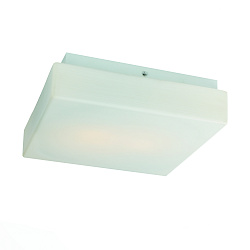 Накладной светильник ST Luce SL503.502.02 в стиле Современный. Коллекция Bagno. Подходит для интерьера Для ванной 