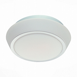 Накладной светильник ST Luce SL496.502.03 в стиле Современный. Коллекция Bagno. Подходит для интерьера Для ванной 