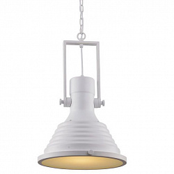 Подвесной светильник Arte Lamp A8021SP-1WH в стиле Лофт. Коллекция Decco. Подходит для интерьера Для прихожей 