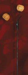 Торшер Lussole LSF-6205-02 в стиле Современный. Коллекция Bagheria. Подходит для интерьера Для спальни 