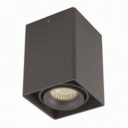 Потолочный светильник Donolux DL18610/01WW-SQ Shiny black в стиле Современный. Коллекция DL18610. Подходит для интерьера Для кухни 