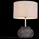 Настольная лампа декоративная ST-Luce Tabella SL991.474.01