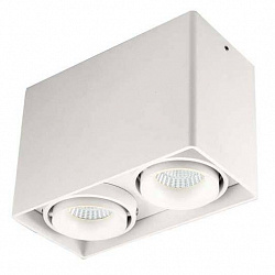 Потолочный светильник Donolux DL18610/02WW-SQ White в стиле Современный. Коллекция DL18610. Подходит для интерьера Для кафе 