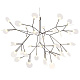 Люстра Moooi Heracleum 2 Small D72 by Bertjan Pot MH30093