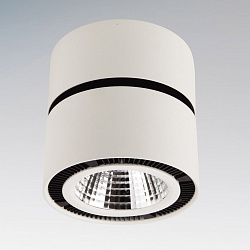 Светодиодный потолочный светильник Lightstar 214830 в стиле Хай-тек. Коллекция Forte Muro. Подходит для интерьера Для магазина 