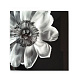 Картина Kelly Hoppen Black & White Flower 1206406