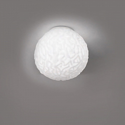 Светильник настенно-потолочный Minital Lux EMISFERO 25 в стиле . Коллекция EMISFERO. Подходит для интерьера 