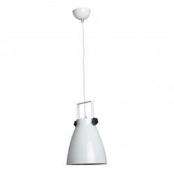 Подвесной светильник RegenBogen Life 497011601 в стиле Лофт. Коллекция Хоф. Подходит для интерьера Для кухни 