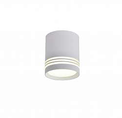 Потолочный светильник Omnilux OML-100109-12 в стиле Классический. Коллекция Fortezza. Подходит для интерьера 