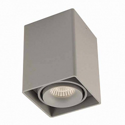 Потолочный светильник Donolux DL18610/01WW-SQ Silver Grey в стиле Современный. Коллекция DL18610. Подходит для интерьера Для кухни 