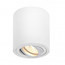 Потолочный светильник SLV 1002011 в стиле Хай-тек. Коллекция Triledo Round CL. Подходит для интерьера Для магазина 