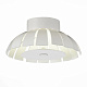 Потолочный светодиодный светильник ST Luce SL559.503.01