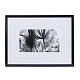 Картина Kelly Hoppen Black & White Palm Leaves 1206361