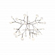 Люстра Moooi Heracleum 2 Small D50 by Bertjan Pot MH30095