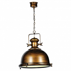 Подвесной светильник Lussole LSP-9612 в стиле Лофт. Коллекция Loft 6. Подходит для интерьера ресторанов 