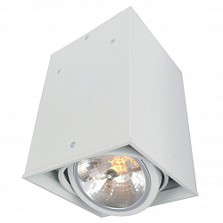 Потолочный светильник Arte Lamp A5936PL-1WH в стиле Современный. Коллекция Cardani White. Подходит для интерьера Для магазина 