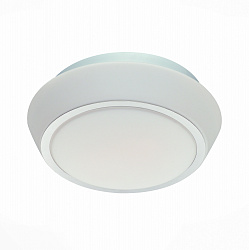 Накладной светильник ST Luce SL496.502.02 в стиле Современный. Коллекция Bagno. Подходит для интерьера Для ванной 