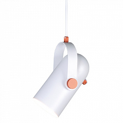 Подвесной светильник Loft Concept 40.1713 в стиле . Коллекция Tube light. Подходит для интерьера 