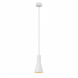 Подвесной светильник SLV 1002139 в стиле Хай-тек. Коллекция Phelia. Подходит для интерьера Для кухни 