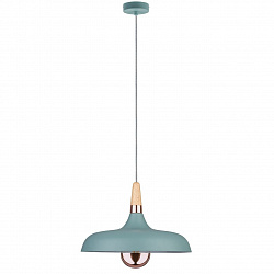 Подвесной светильник Paulmann 79655 в стиле Современный. Коллекция Juna. Подходит для интерьера Для кухни 