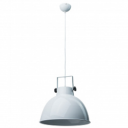 Подвесной светильник RegenBogen Life 497012001 в стиле Лофт. Коллекция Хоф. Подходит для интерьера Для кухни 