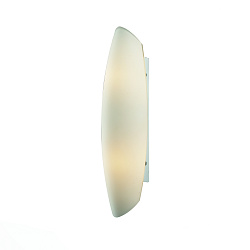 Накладной светильник ST Luce SL507.051.02 в стиле Современный. Коллекция Bagno. Подходит для интерьера Для ванной 