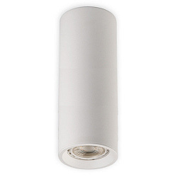 Потолочный светильник MEGALIGHT M02–65200 WHITE в стиле Современный. Коллекция M02-65. Подходит для интерьера 