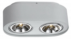Накладной светильник Arte Lamp A5643PL-2WH в стиле Современный. Коллекция Cliff. Подходит для интерьера Для магазина 