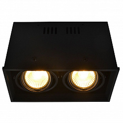 Потолочный светильник Arte Lamp A5942PL-2BK в стиле Современный. Коллекция Cardani Black. Подходит для интерьера Для магазина 