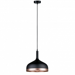 Подвесной светильник Paulmann 79629 в стиле Современный. Коллекция Embla. Подходит для интерьера Для кухни 