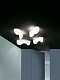 Настенный/Потолочный светильник Foscarini 124035 10