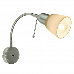 Спот Arte Lamp A7009AP-1SS в стиле Современный. Коллекция Lettura. Подходит для интерьера Для спальни 