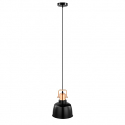 Подвесной светильник Eglo 49692 в стиле Лофт. Коллекция Bodmin. Подходит для интерьера Для прихожей 