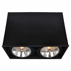 Потолочный светильник Arte Lamp A5936PL-2BK в стиле Современный. Коллекция Cardani Black. Подходит для интерьера Для магазина 